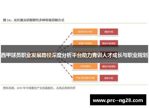 西甲球员职业发展路径深度分析平台助力青训人才成长与职业规划 西甲球员职业发展路径深度分析平台助力青训人才成长与职业规划
